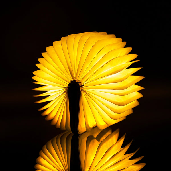 Gingko - Mini Book Light