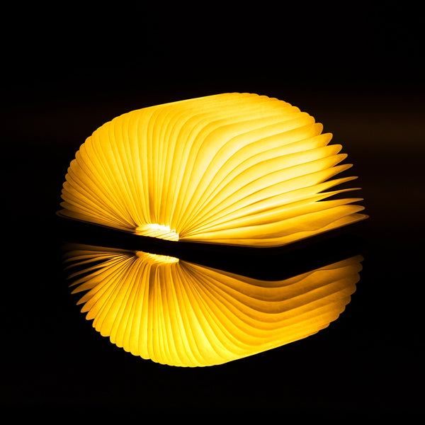 Gingko - Mini Book Light